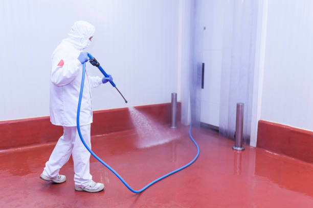 Best Driveway Pressure Washing  in Black Diamond, WA